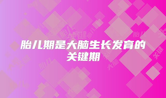 胎儿期是大脑生长发育的关键期