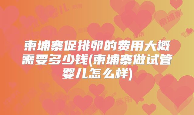 柬埔寨促排卵的费用大概需要多少钱(柬埔寨做试管婴儿怎么样)