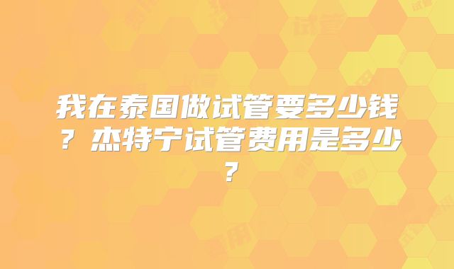 我在泰国做试管要多少钱？杰特宁试管费用是多少？