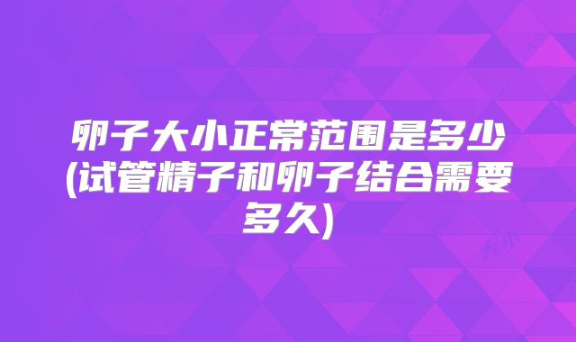 卵子大小正常范围是多少(试管精子和卵子结合需要多久)