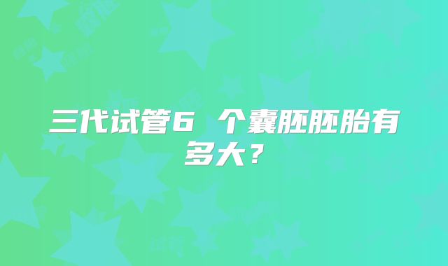 三代试管6 个囊胚胚胎有多大?