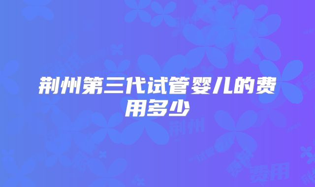 荆州第三代试管婴儿的费用多少