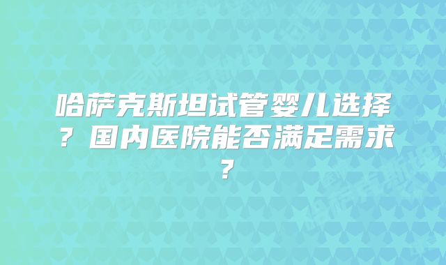哈萨克斯坦试管婴儿选择？国内医院能否满足需求？