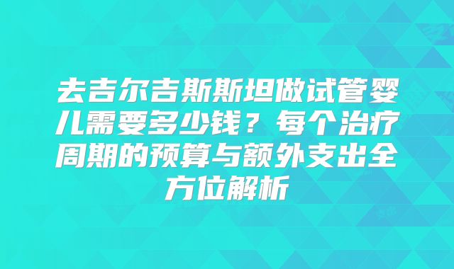 去吉尔吉斯斯坦做试管婴儿需要多少钱?每个治疗周期的预算与额外支出全方位解析