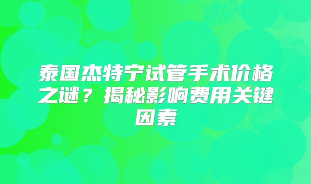 泰国杰特宁试管手术价格之谜？揭秘影响费用关键因素