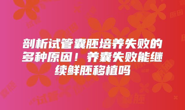 剖析试管囊胚培养失败的多种原因！养囊失败能继续鲜胚移植吗