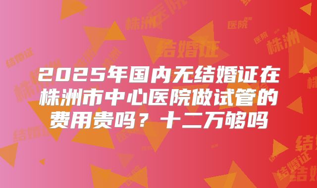 2025年国内无结婚证在株洲市中心医院做试管的费用贵吗?十二万够吗