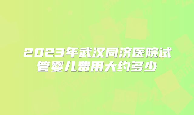 2023年武汉同济医院试管婴儿费用大约多少