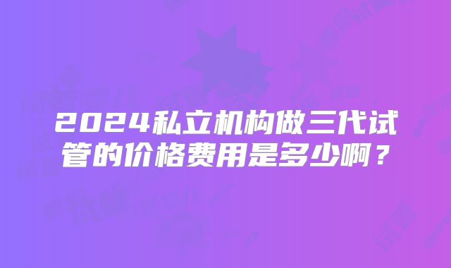 2024私立机构做三代试管的价格费用是多少啊？