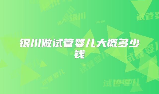 银川做试管婴儿大概多少钱