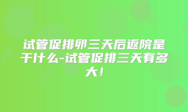 试管促排卵三天后返院是干什么-试管促排三天有多大！