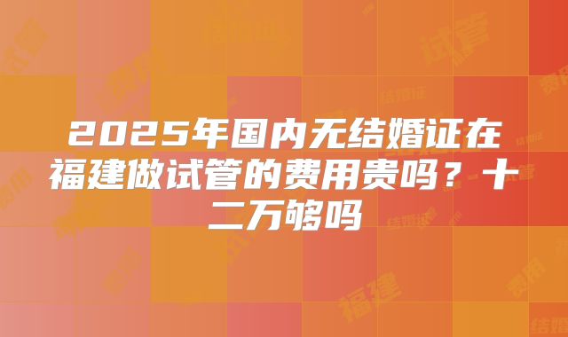 2025年国内无结婚证在福建做试管的费用贵吗?十二万够吗