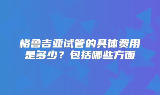 格鲁吉亚试管的具体费用是多少？包括哪些方面