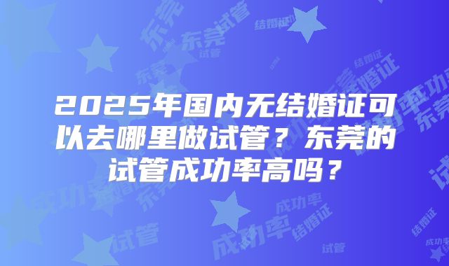 2025年国内无结婚证可以去哪里做试管？东莞的试管成功率高吗？