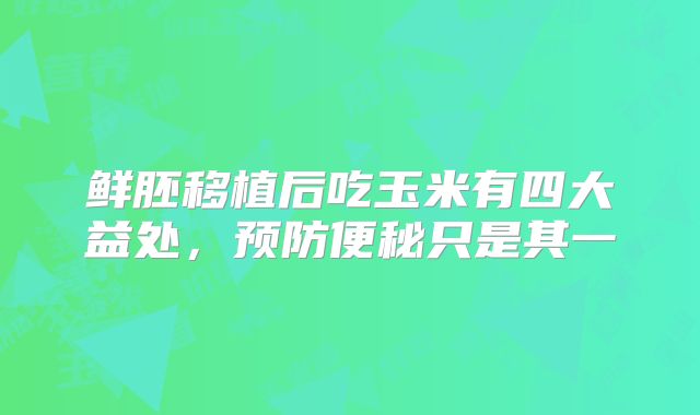 鲜胚移植后吃玉米有四大益处,预防便秘只是其一