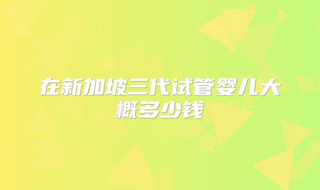 在新加坡三代试管婴儿大概多少钱