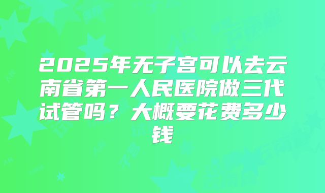 2025年无子宫可以去云南省第一人民医院做三代试管吗?大概要花费多少钱
