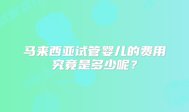 马来西亚试管婴儿的费用究竟是多少呢？