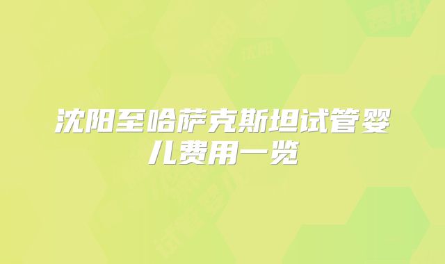 沈阳至哈萨克斯坦试管婴儿费用一览