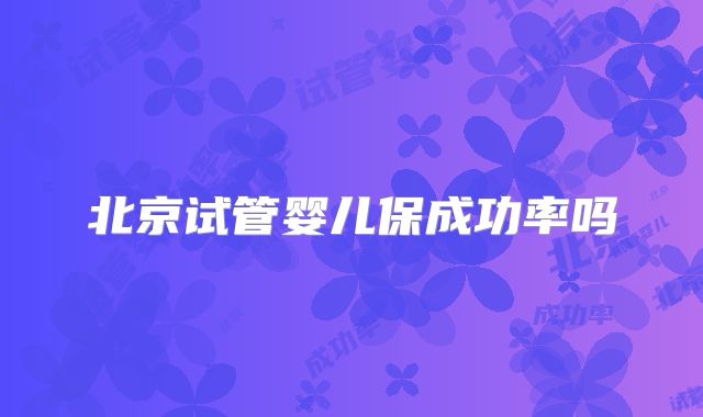 北京试管婴儿保成功率吗