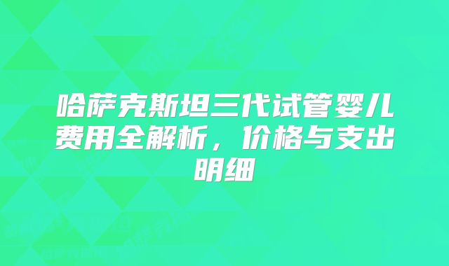 哈萨克斯坦三代试管婴儿费用全解析,价格与支出明细