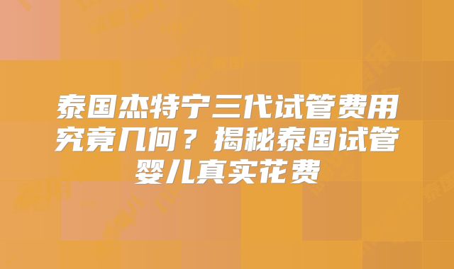 泰国杰特宁三代试管费用究竟几何？揭秘泰国试管婴儿真实花费