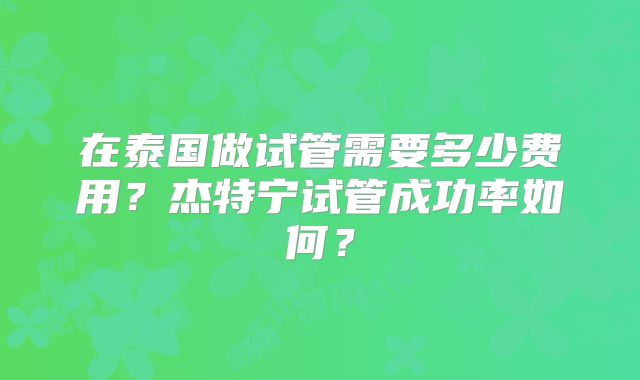 在泰国做试管需要多少费用？杰特宁试管成功率如何？