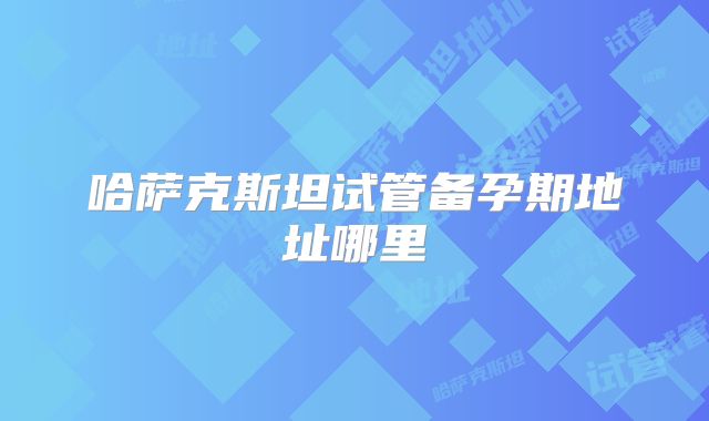 哈萨克斯坦试管备孕期地址哪里