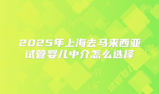 2025年上海去马来西亚试管婴儿中介怎么选择