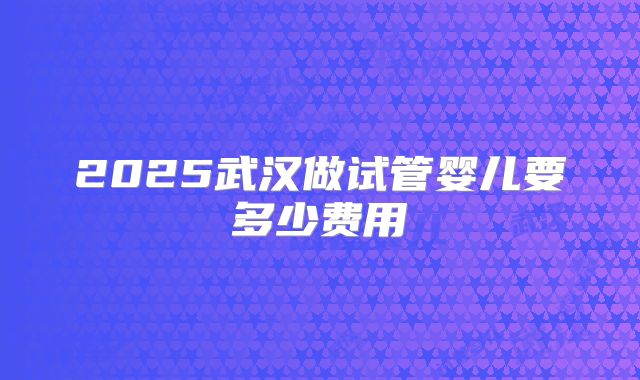 2025武汉做试管婴儿要多少费用
