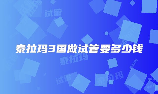 泰拉玛3国做试管要多少钱