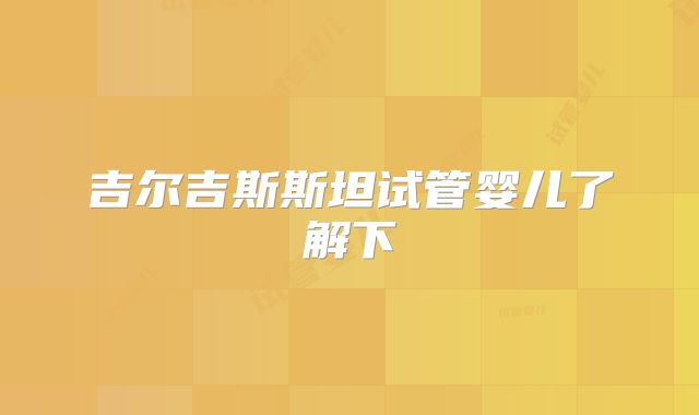 吉尔吉斯斯坦试管婴儿了解下