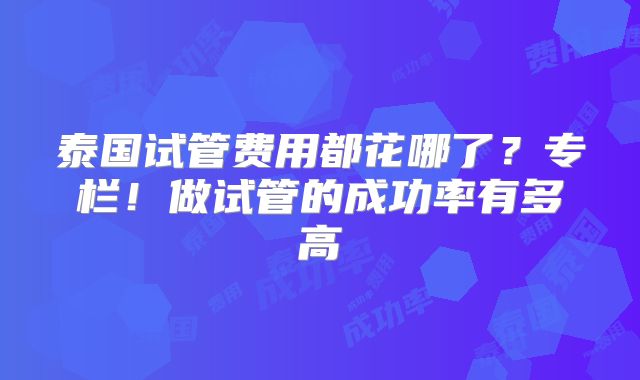 泰国试管费用都花哪了？专栏！做试管的成功率有多高
