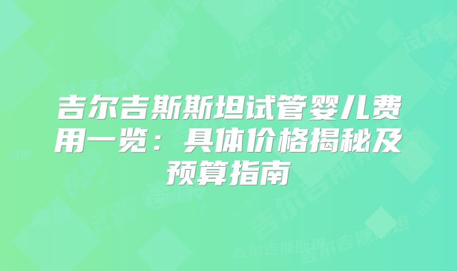吉尔吉斯斯坦试管婴儿费用一览：具体价格揭秘及预算指南