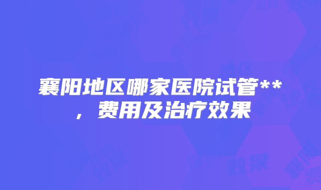 襄阳地区哪家医院试管**,费用及治疗效果