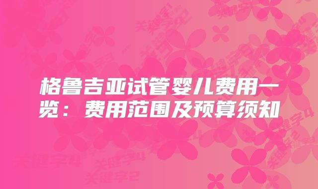 格鲁吉亚试管婴儿费用一览：费用范围及预算须知