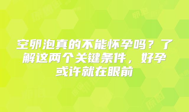 空卵泡真的不能怀孕吗?了解这两个关键条件,好孕或许就在眼前