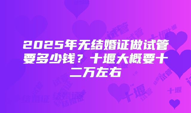 2025年无结婚证做试管要多少钱?十堰大概要十二万左右