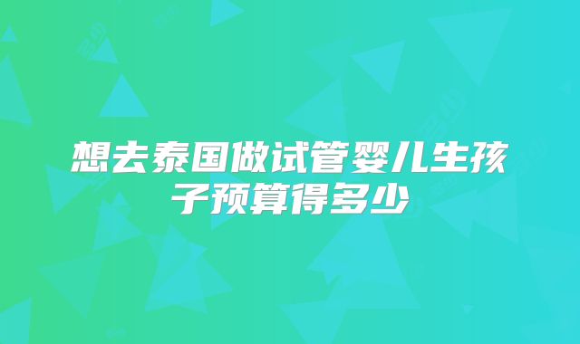 想去泰国做试管婴儿生孩子预算得多少