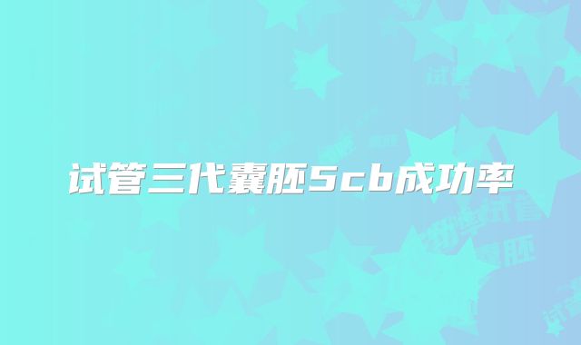 试管三代囊胚5cb成功率