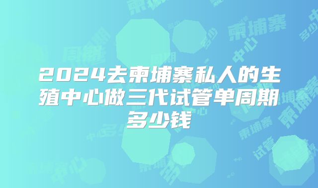 2024去柬埔寨私人的生殖中心做三代试管单周期多少钱
