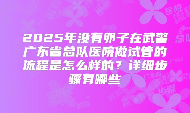 2025年没有卵子在武警广东省总队医院做试管的流程是怎么样的?详细步骤有哪些