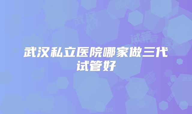 武汉私立医院哪家做三代试管好