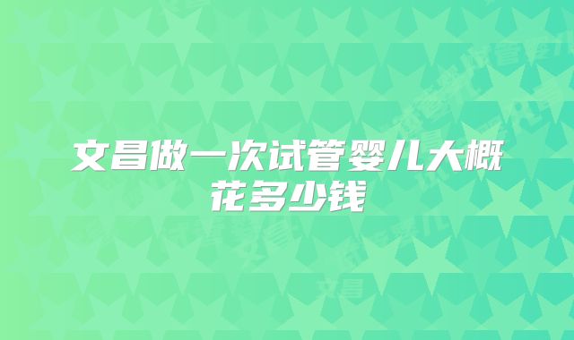 文昌做一次试管婴儿大概花多少钱