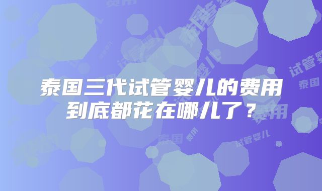 泰国三代试管婴儿的费用到底都花在哪儿了？