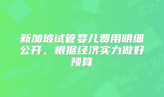 新加坡试管婴儿费用明细公开，根据经济实力做好预算