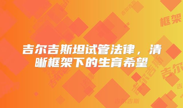 吉尔吉斯坦试管法律,清晰框架下的生育希望
