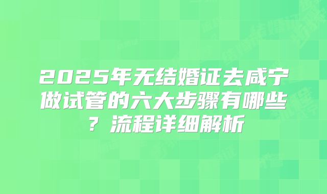 2025年无结婚证去咸宁做试管的六大步骤有哪些？流程详细解析