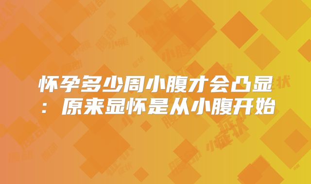 怀孕多少周小腹才会凸显:原来显怀是从小腹开始