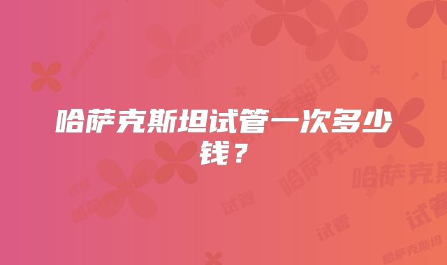 哈萨克斯坦试管一次多少钱？